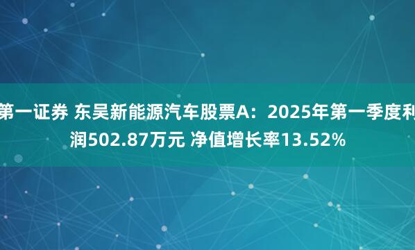 第一证券 东吴新能源汽车股票A：2025年第一季度利润502.87万元 净值增长率13.52%