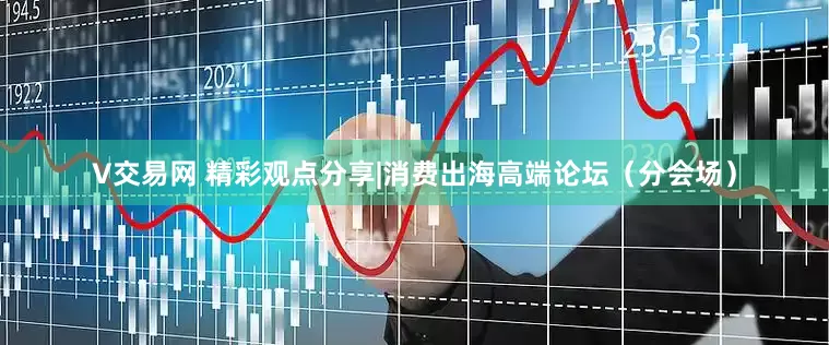 V交易网 精彩观点分享|消费出海高端论坛（分会场）