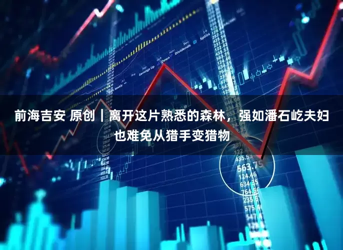 前海吉安 原创｜离开这片熟悉的森林，强如潘石屹夫妇也难免从猎手变猎物
